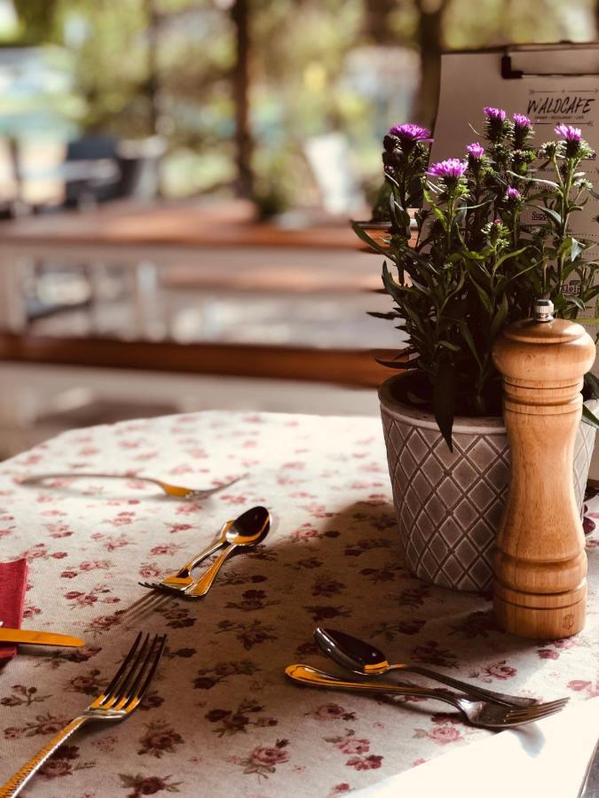 Gasthof Restaurant Waldcafe Mayrhofen Dış mekan fotoğraf
